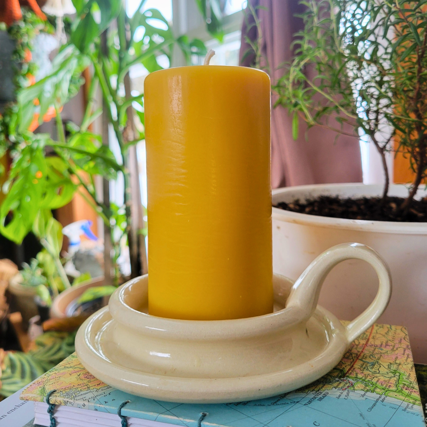 Dipped Beeswax Pillar Candle( unlit) sitting on a white candle plate, on top of a stack of books with houseplants in the background.