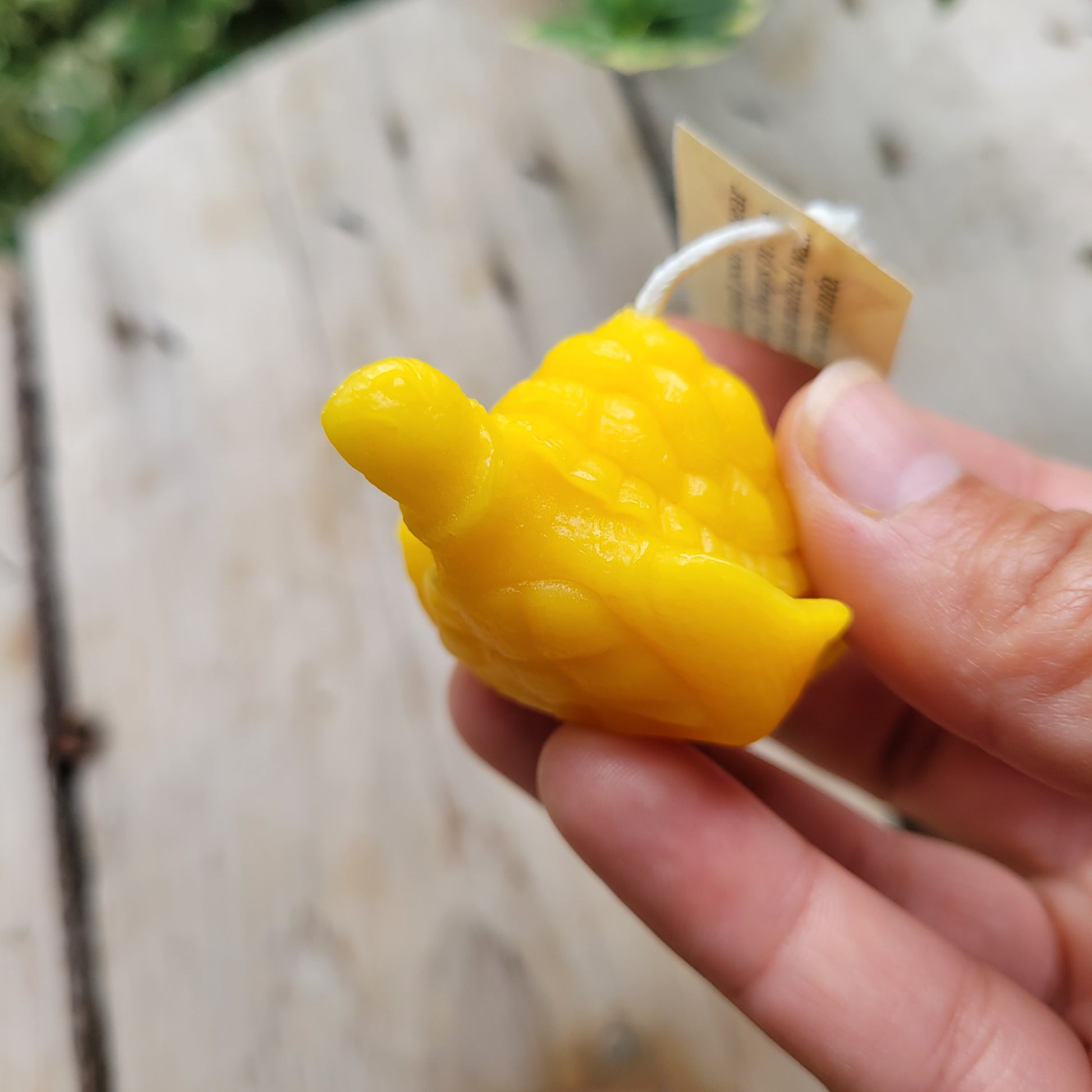 Hand holding a beeswax turtle candle with a blurred background.
