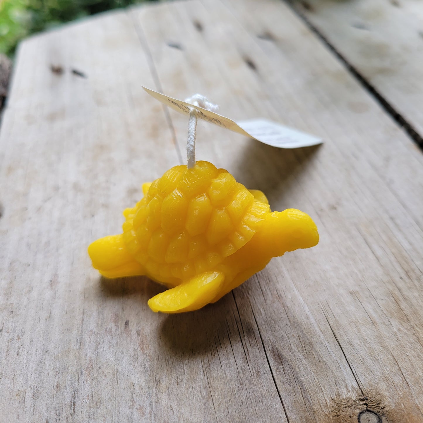 Beeswax turtle candle on a wooden table.
