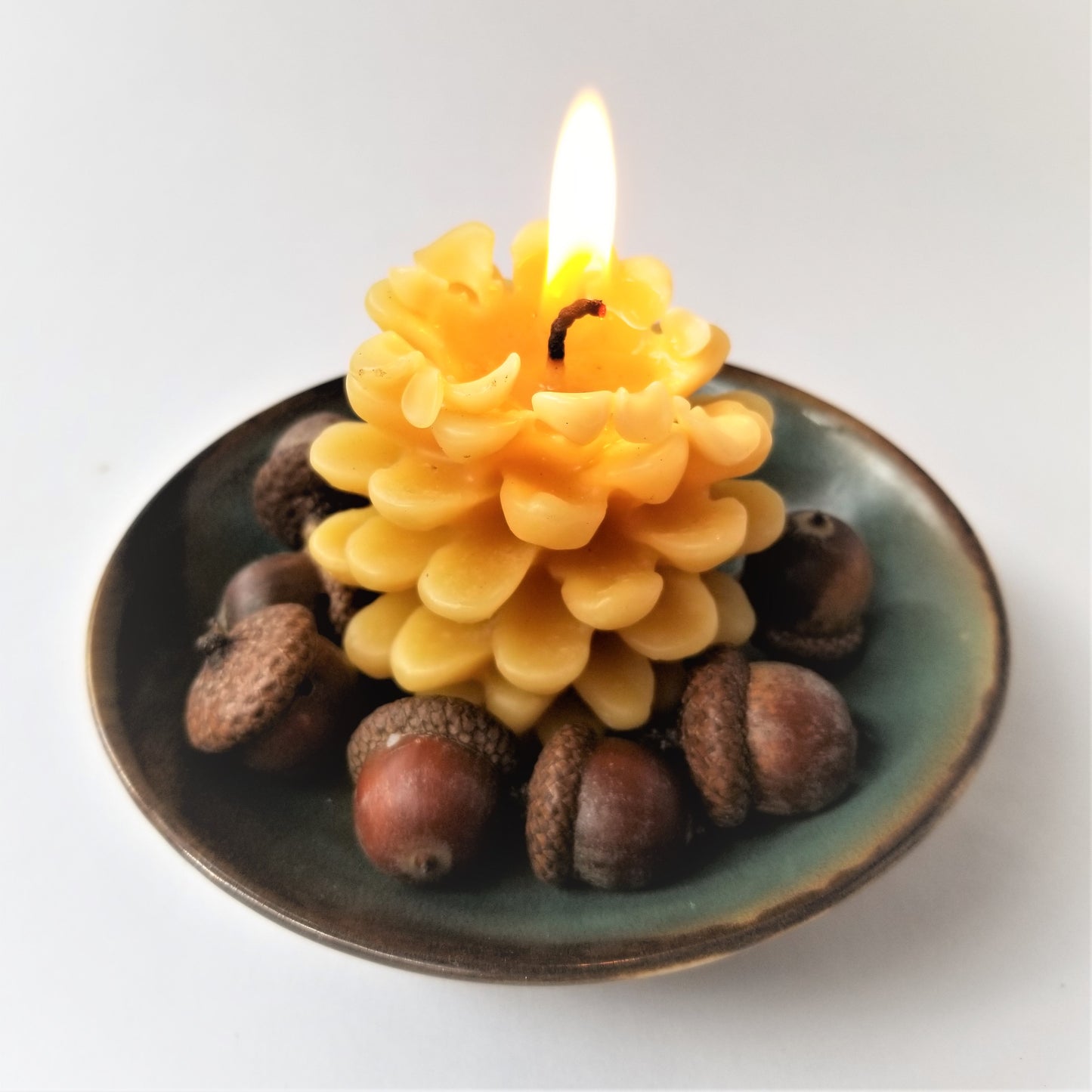 Pinecone