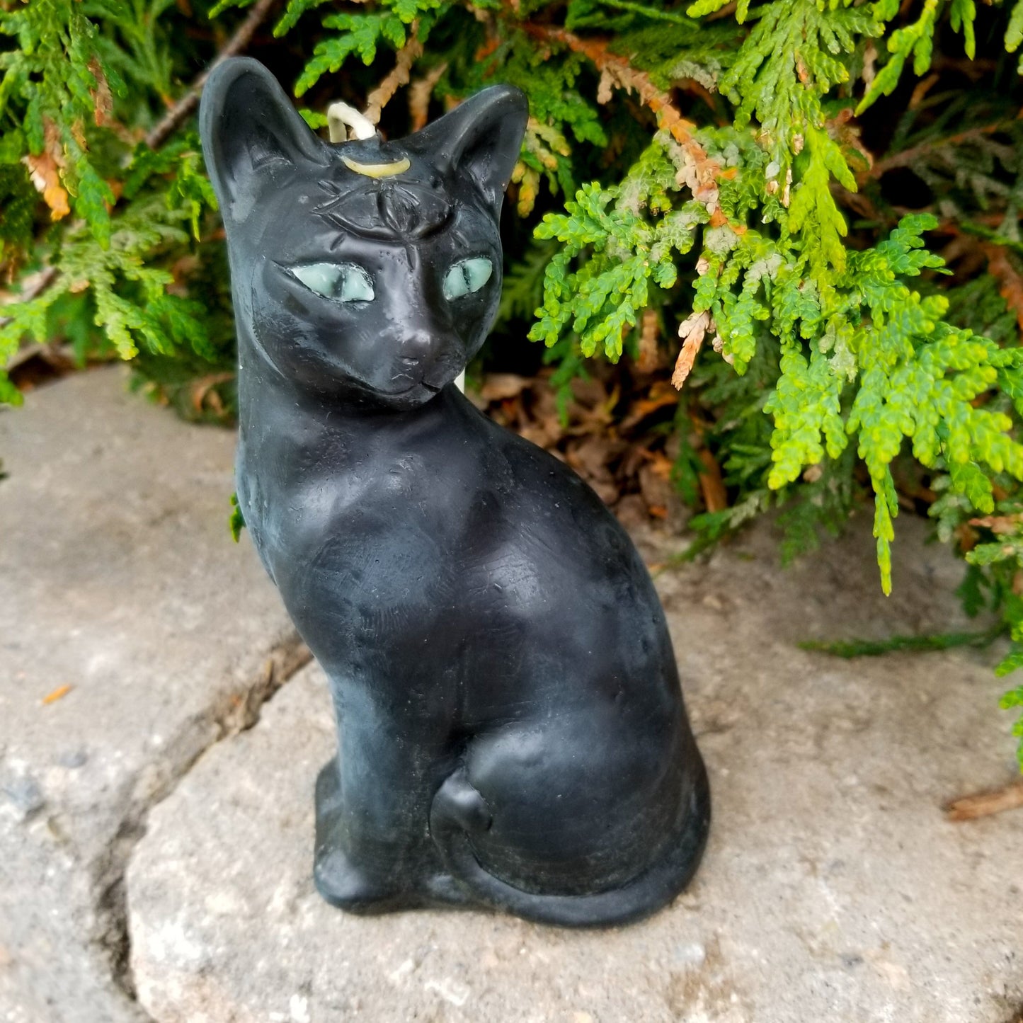 Mint green eyed third eye cat candle