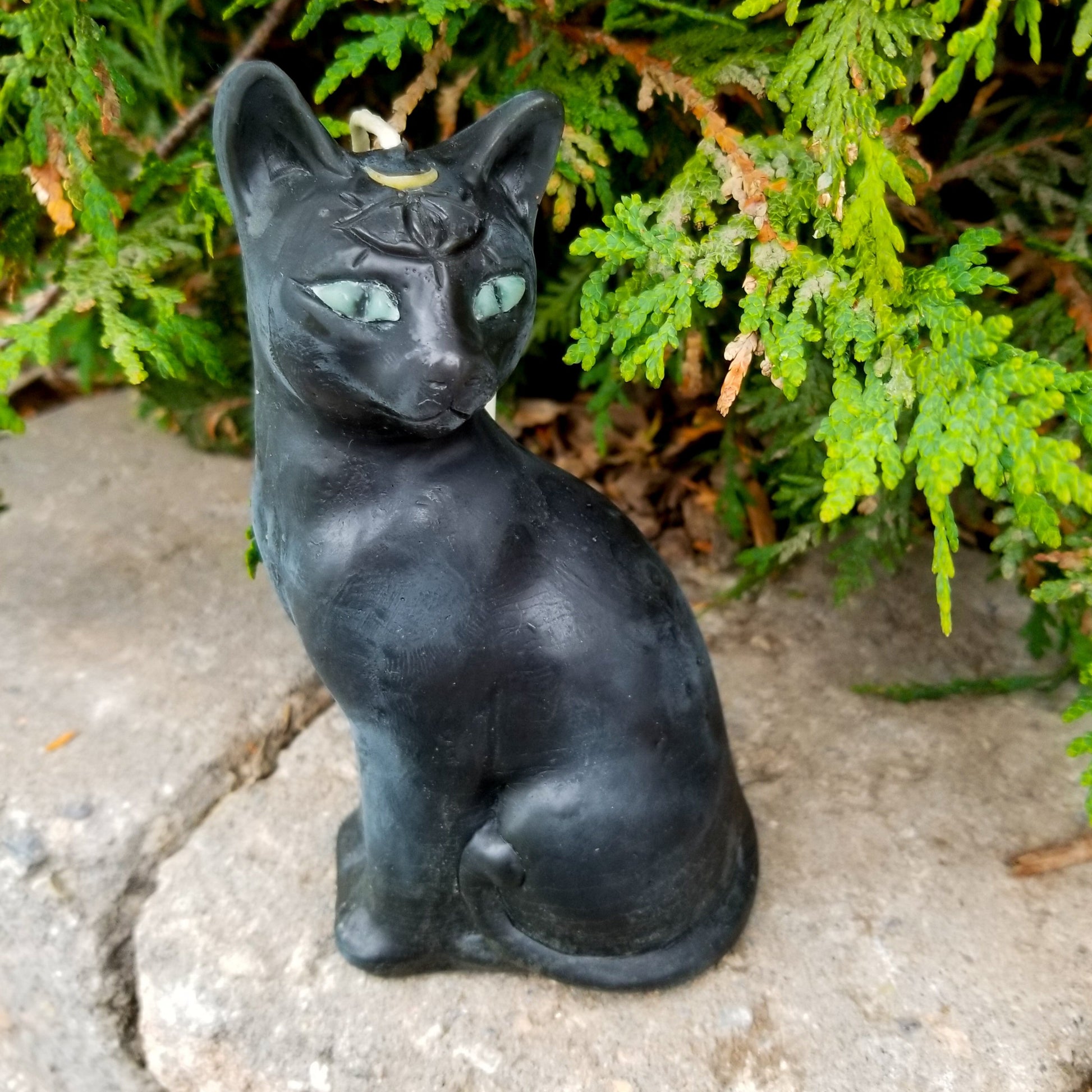 Mint green eyed third eye cat candle