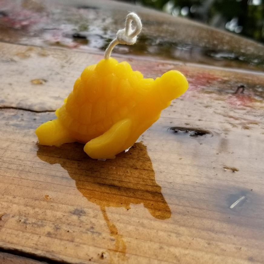 Beeswax Turtle Candle