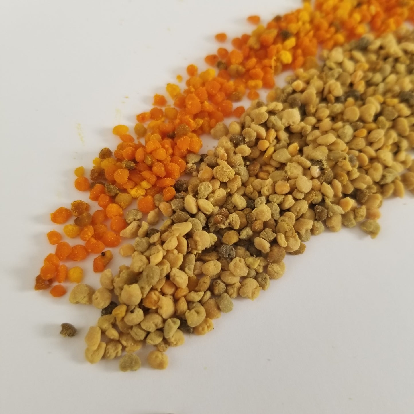 Fresh pollen in a rainbow shape on a white background