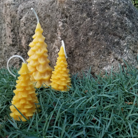 Fir Tree Candle