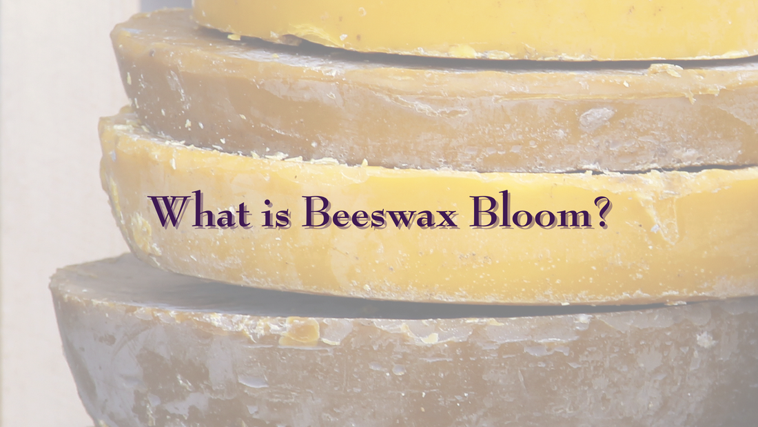 What is beeswax bloom?