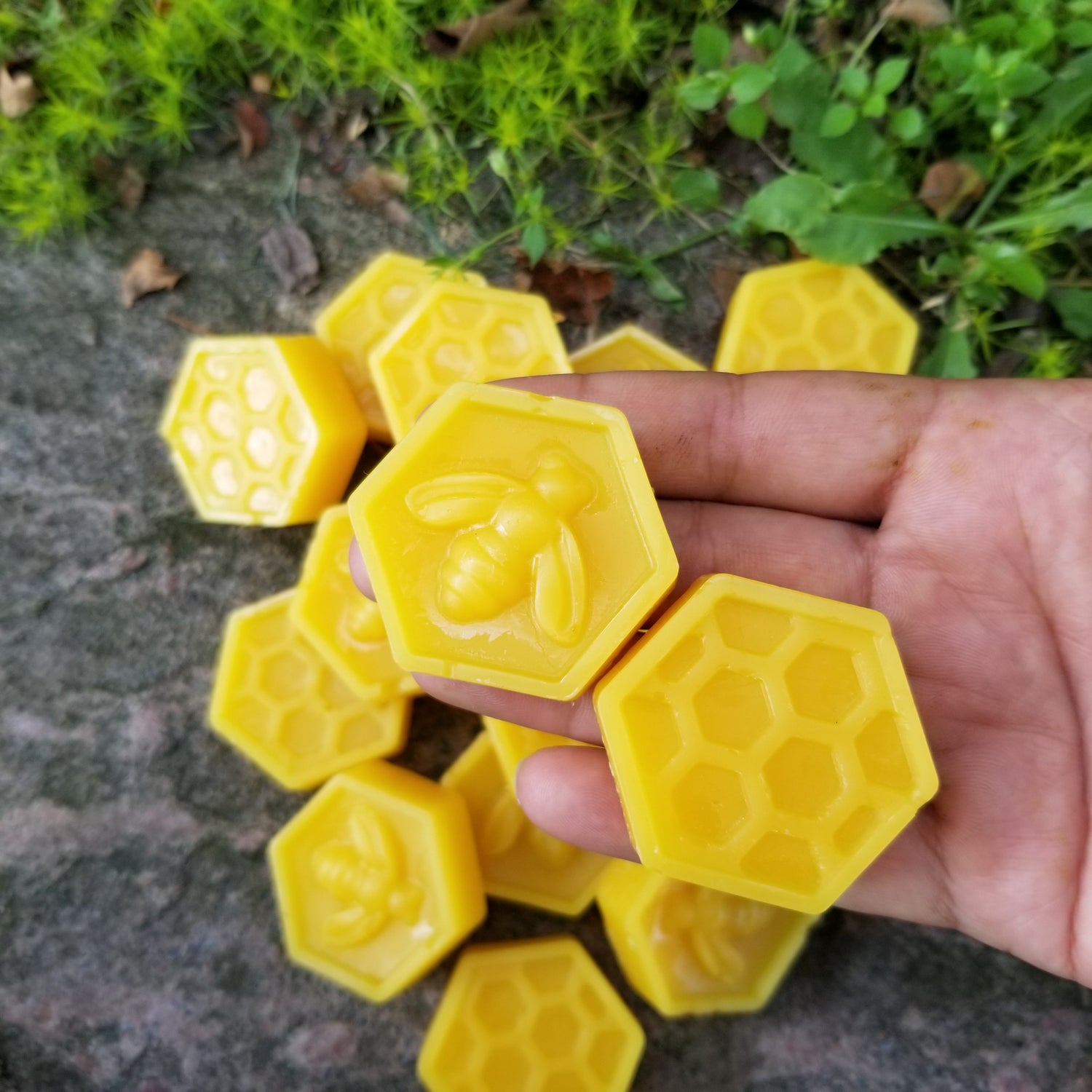 beeswax patties held on palm of hand