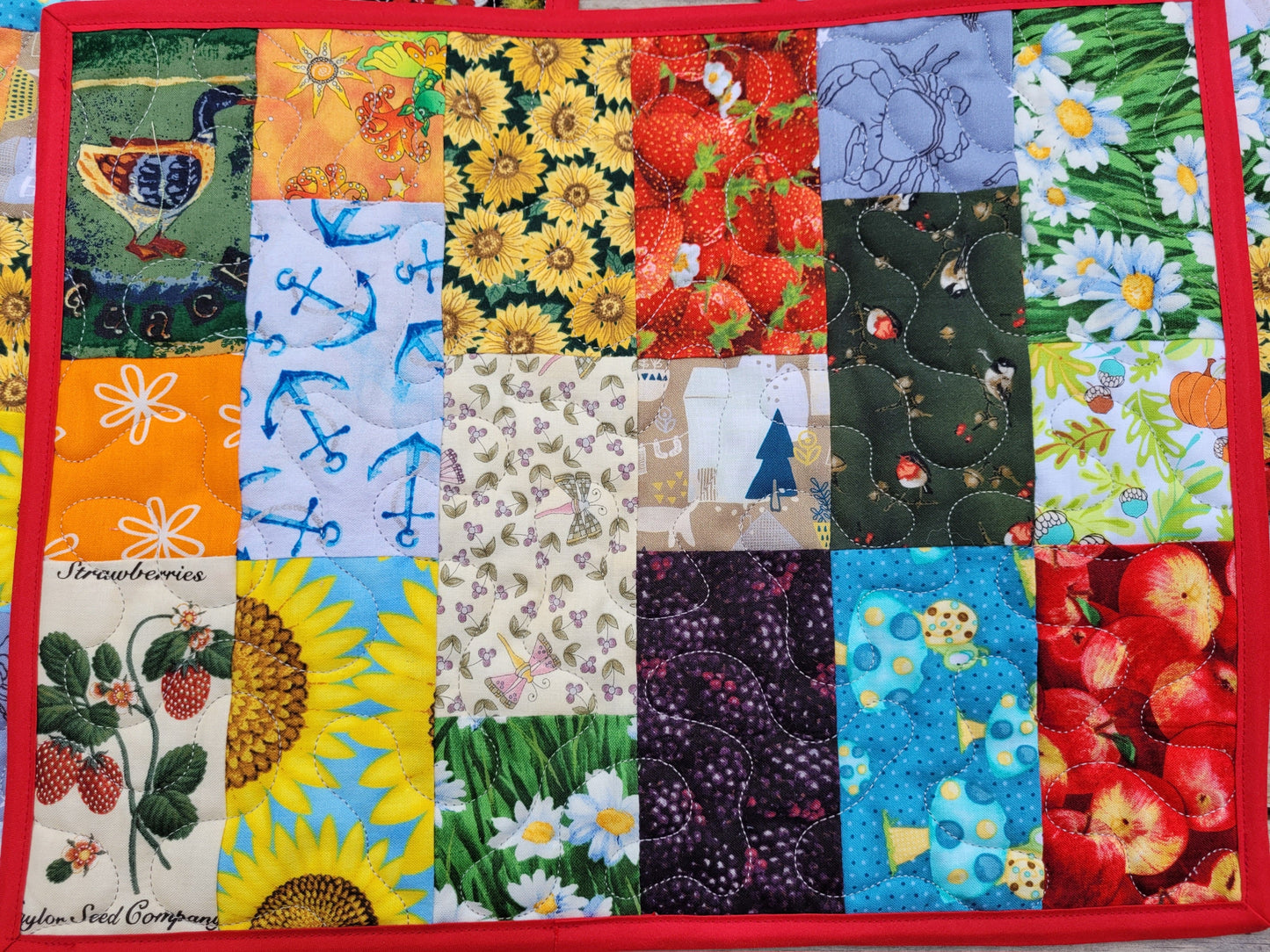 I Spy Quilted Placemats for Kids - Red
