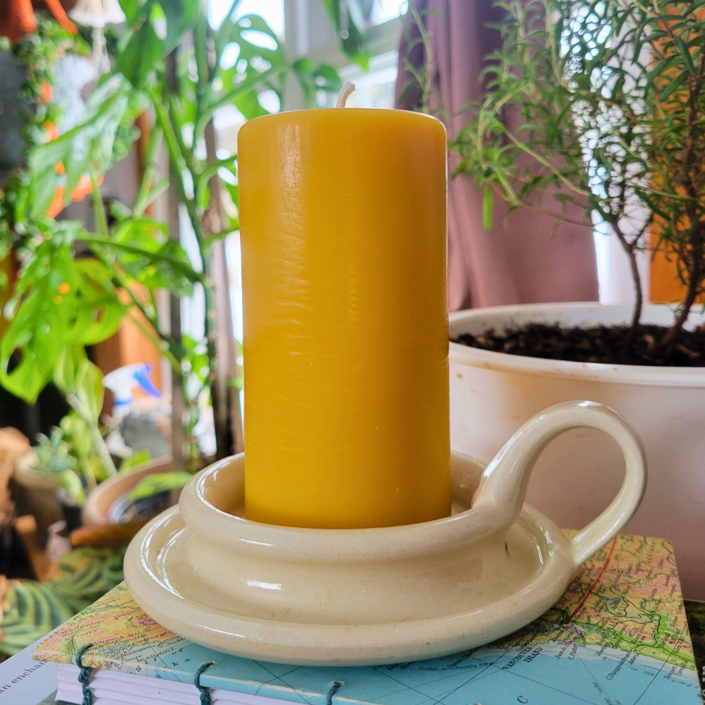 Dipped Beeswax Pillar Candle( unlit) sitting on a white candle plate, on top of a stack of books with houseplants in the background. 