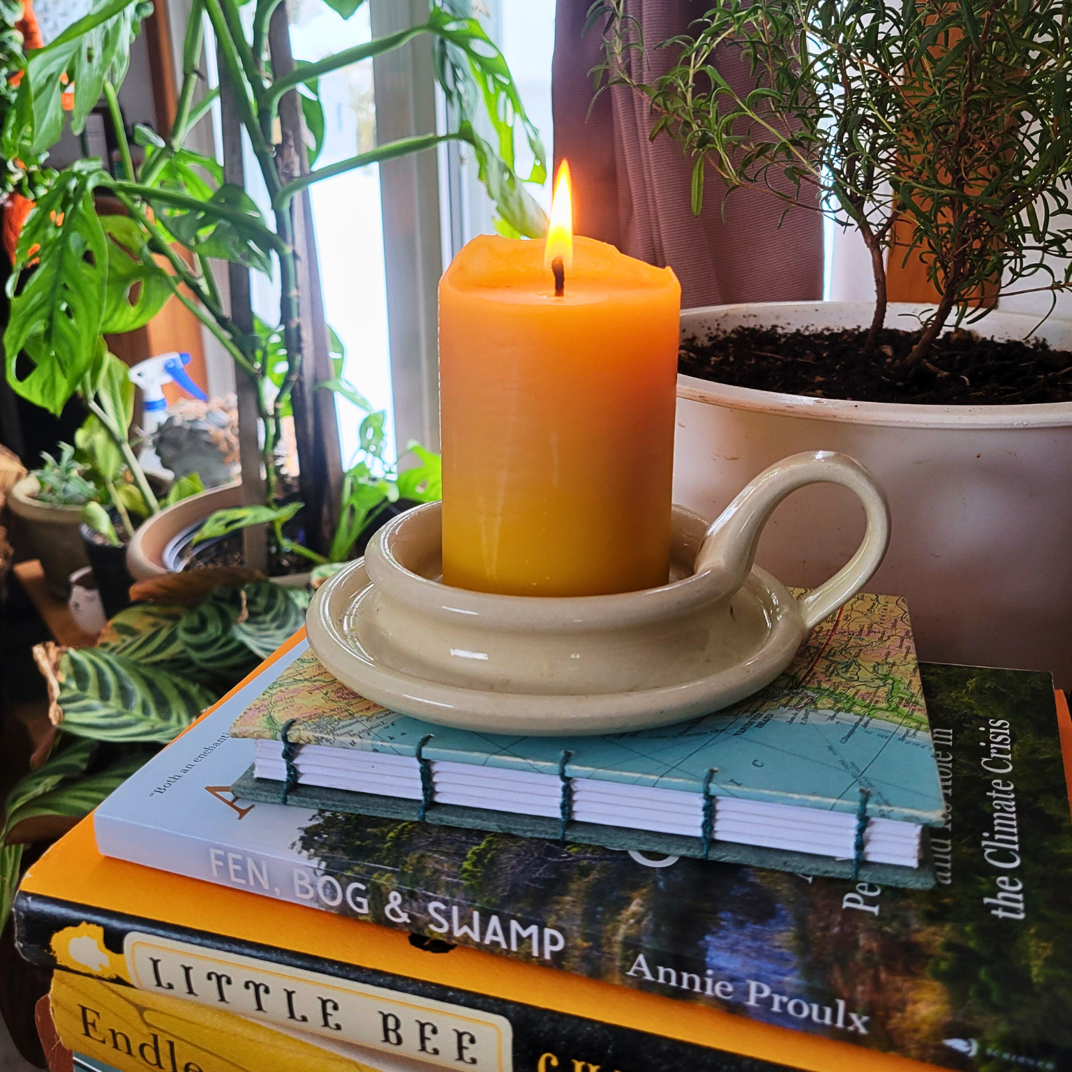 Dipped Beeswax Pillar Candle lit and sitting on a white candle plate, on top of a stack of books with houseplants in the background. 