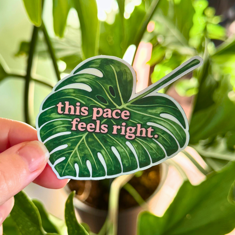 This Pace Feels Right Monstera Sticker