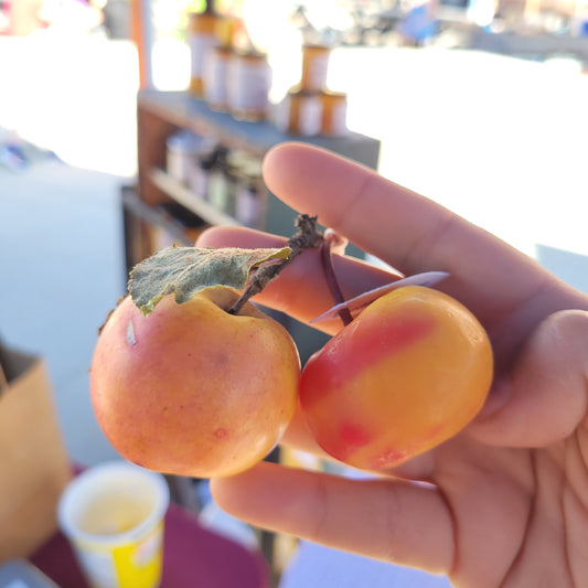Hand holding a small apple and a lady apple candle with a blurred background