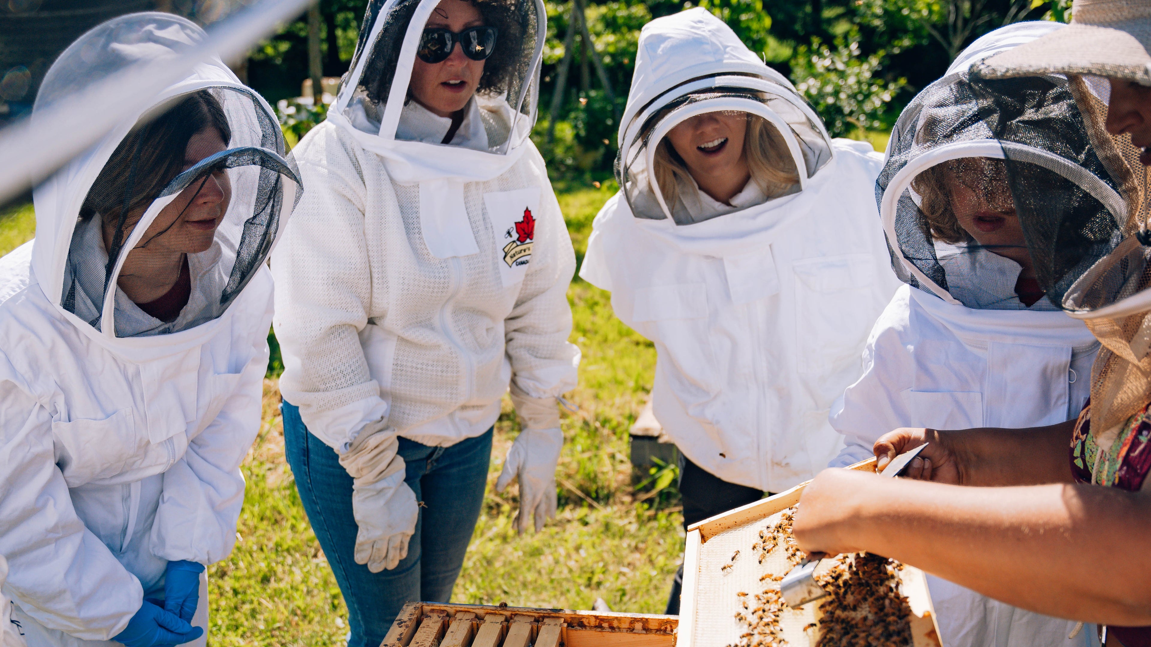Load video: Summer Buzz About Bees Tour Video
