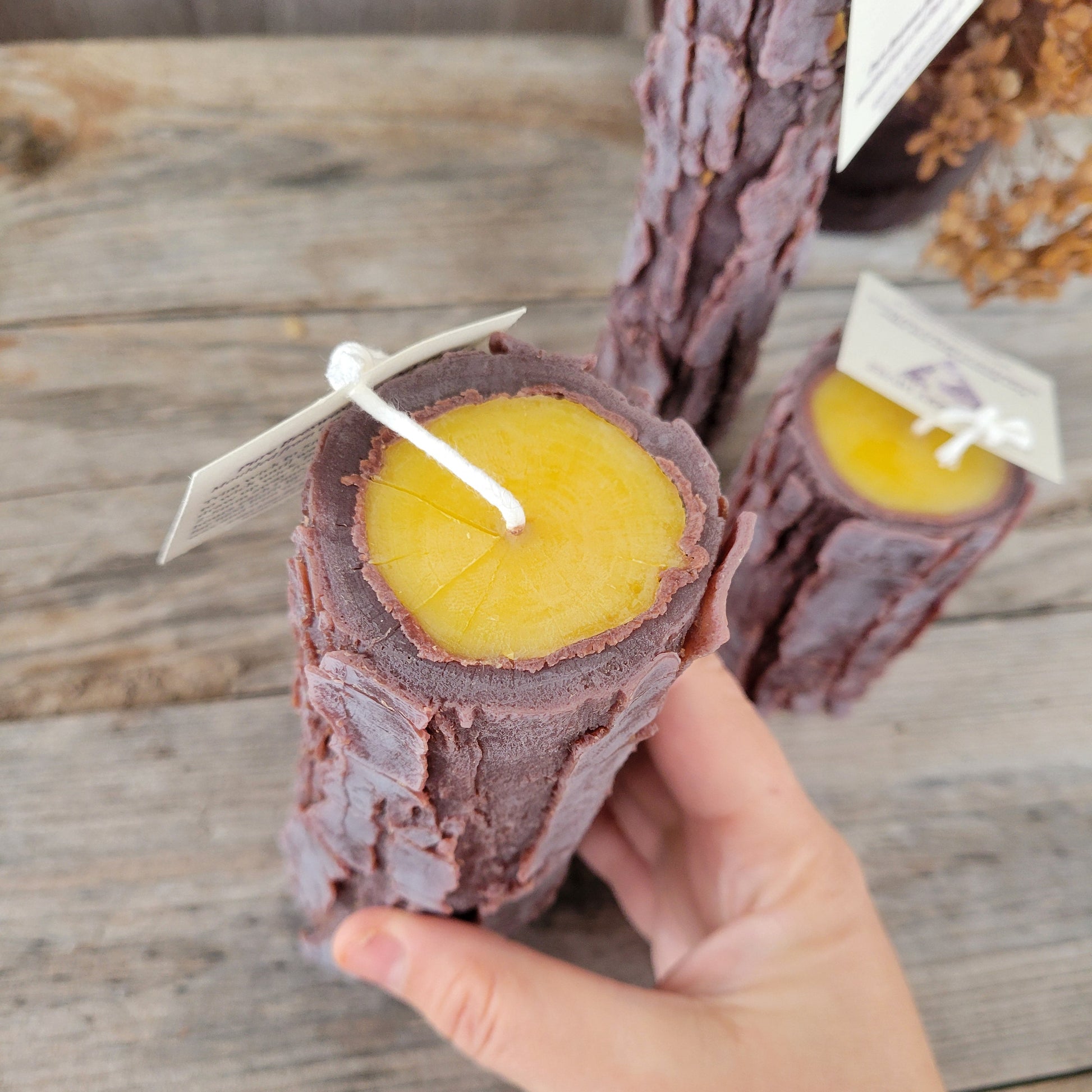 Hand holding a burr oak log candle with brown bark and a yellow center on a wooden surface