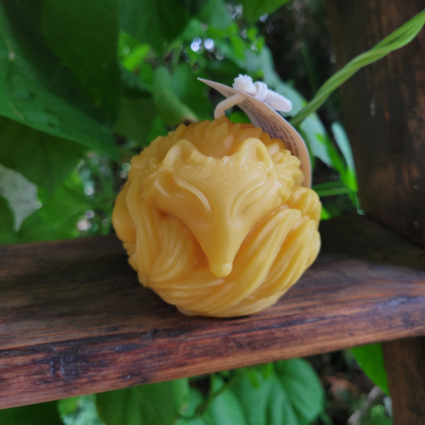 Cozy sleepy fox beeswax candle sits on a shelf with some green vines behind it. 