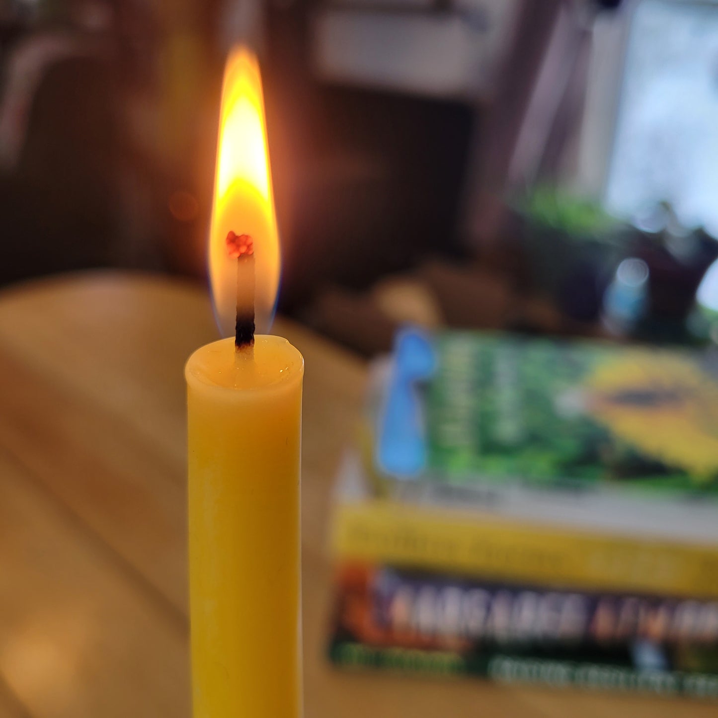 closeup of taper candle burning