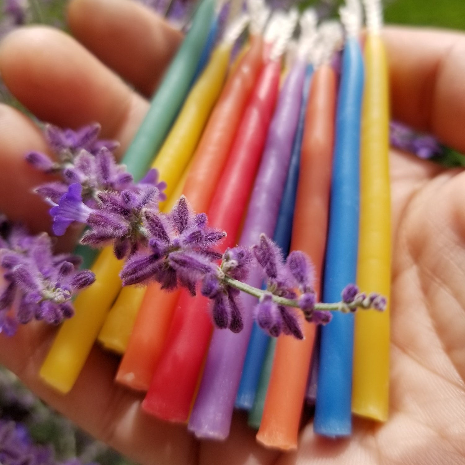 rainbow birthday candles with russian sage flower