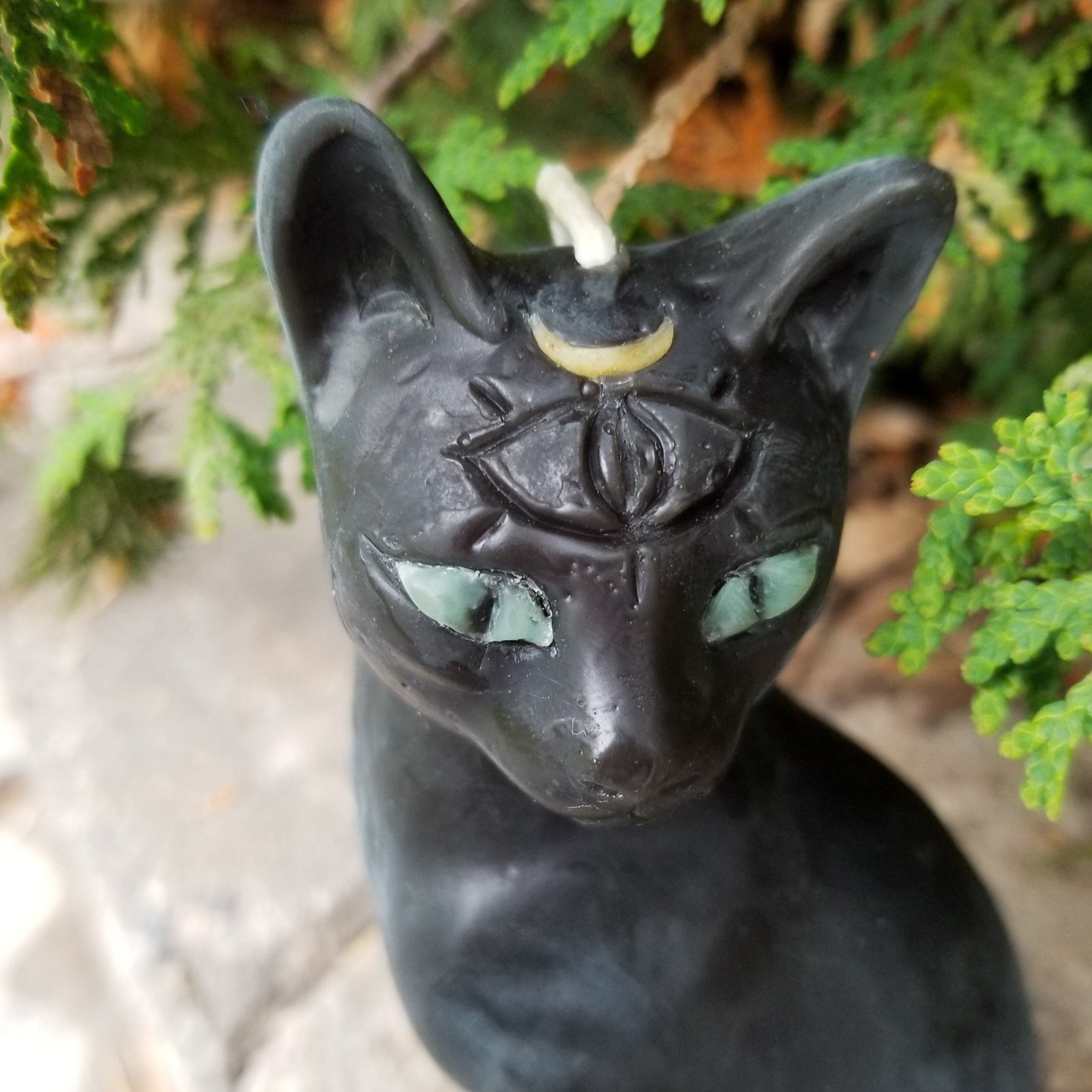 third eye cat with minty green eyes