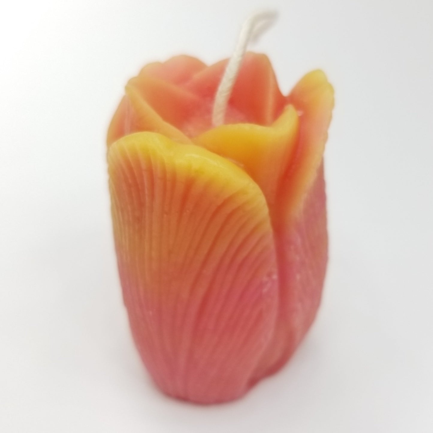 Pink tulip candle with yellow tips.