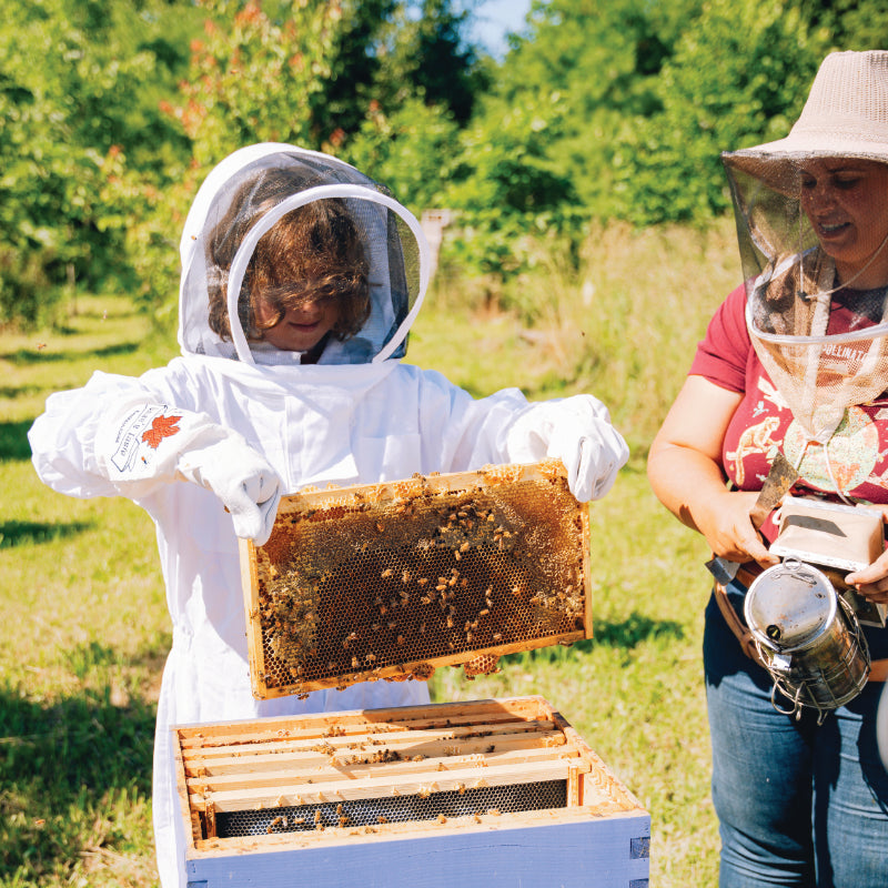 Buzz About Bees Tours - Morning Tour