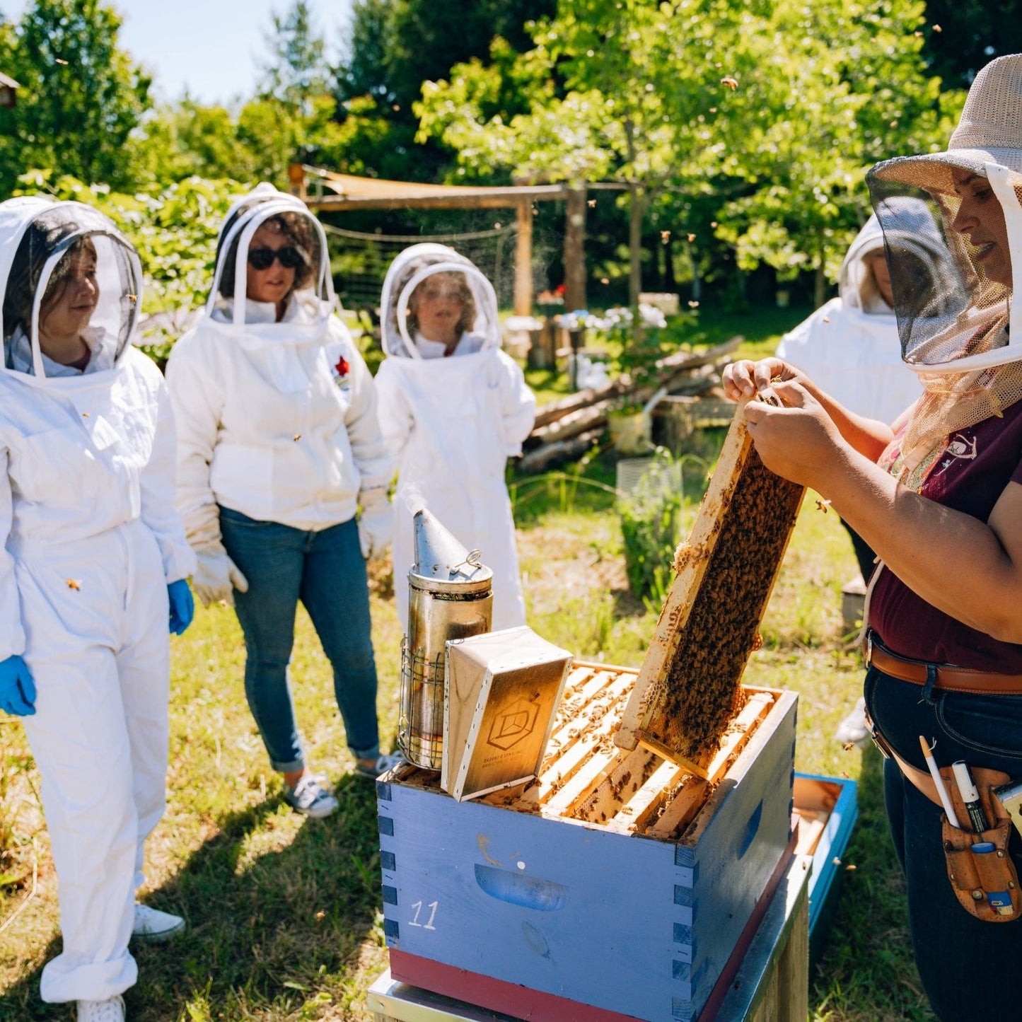 beekeeping showing people a beehive.