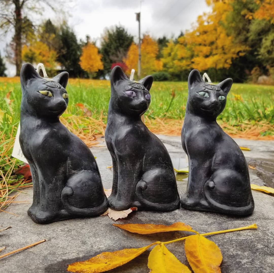 third eye cat candles with fall leaves