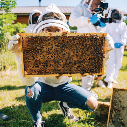 Buzz About Bees Tours - Afternoon Tour