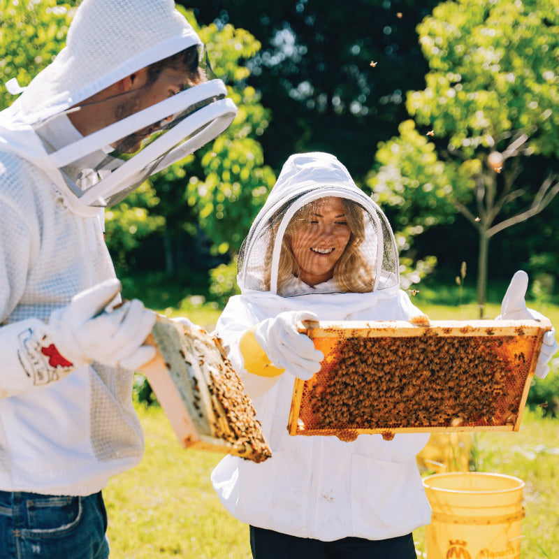 Buzz About Bees Tours - Morning Tour