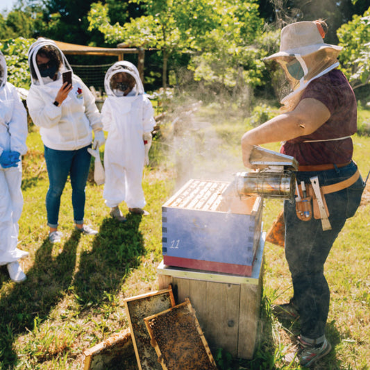 Buzz About Bees - 2026 Afternoon Tour Dates