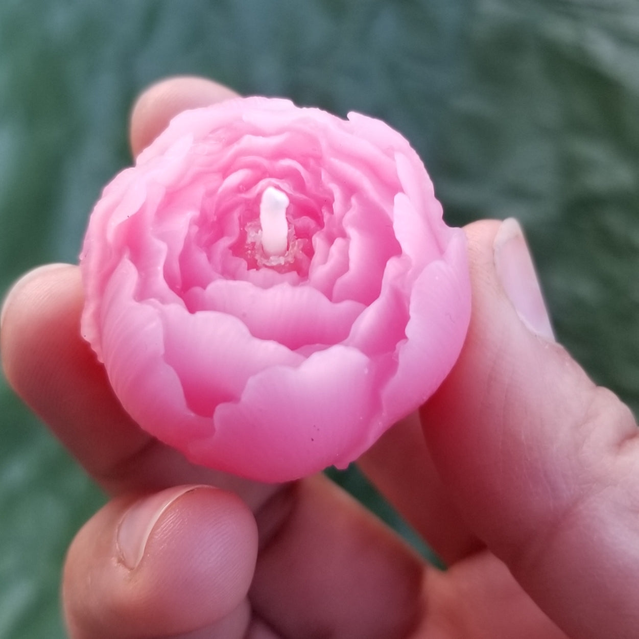 peony-shaped candle held in someone's hand with a green background
